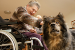 Eine Bewohnerin sitz im Rollstuhl und streichelt einen Hund, der vor ihr steht