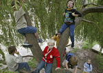 Kinder klettern in einem Baum